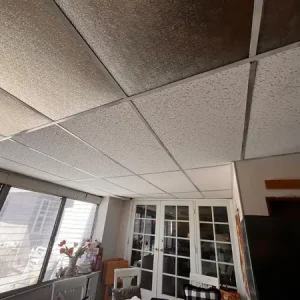 Ceiling Tile Replacement in Orange